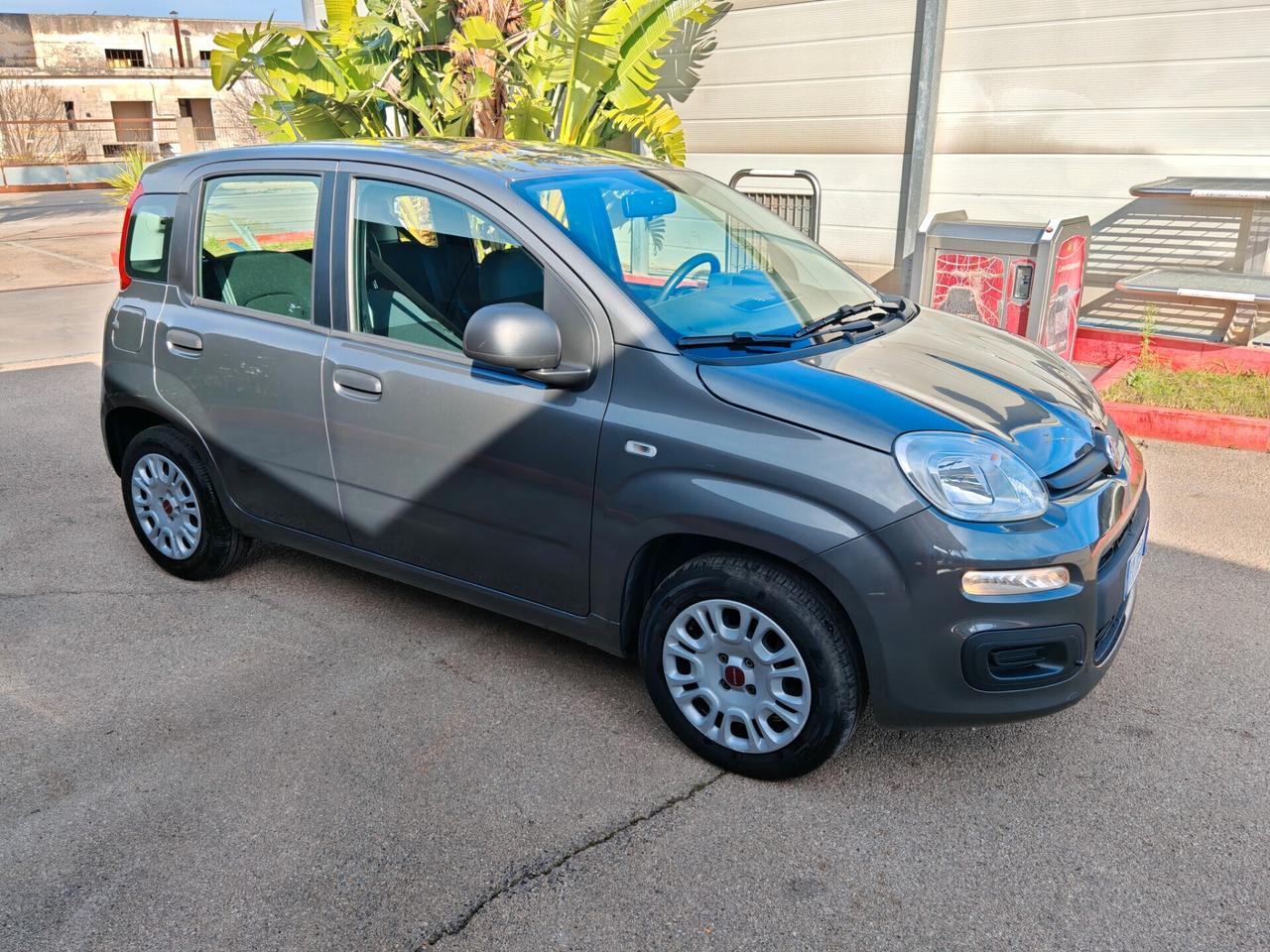 Fiat Panda 1.2 Lounge PRONTA CONSEGNA