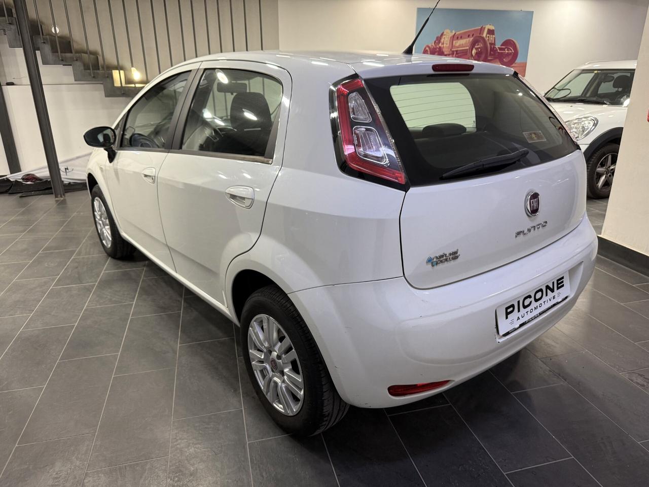 Fiat Punto 1.4 8V 5 porte Natural Power Easy