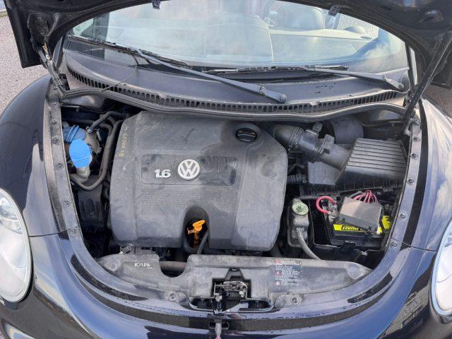 VOLKSWAGEN New Beetle 1.6 Cabrio Edizione limitata RED Edition BORDEAUX