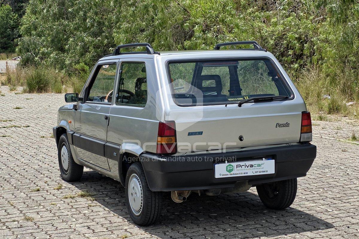 FIAT Panda 1ª serie 1100 i.e. cat Young