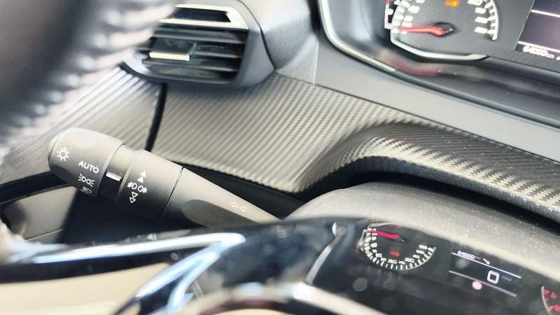 Peugeot 2008 2008 1.5 bluehdi Active Pack s&s 110cv