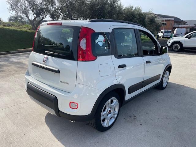 Fiat Panda 1.0 FireFly S&S Hybrid