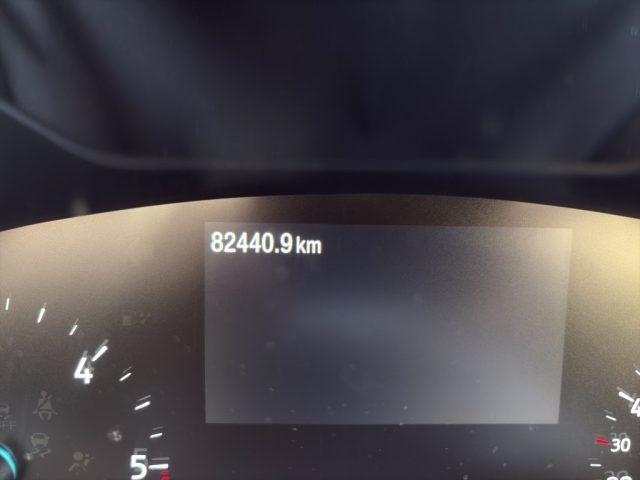 FORD Focus SW 1.5 EcoBlue 120 CV automatico Business