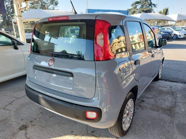 FIAT Panda 1.0 FireFly S&S Hybrid Uniprò Clima Fatturab.