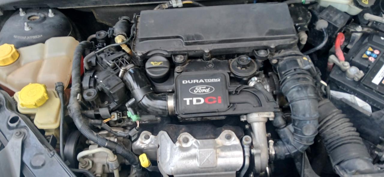 Ford Fiesta diesel neopatentati