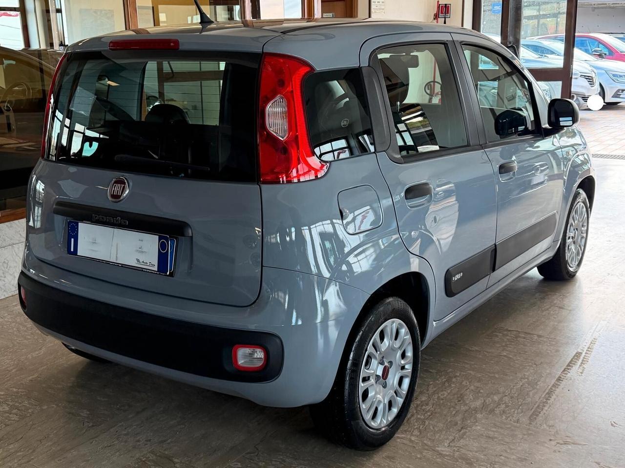 Fiat Panda New 1.2 69 cv. EasyPower EASY (Imp GPL)