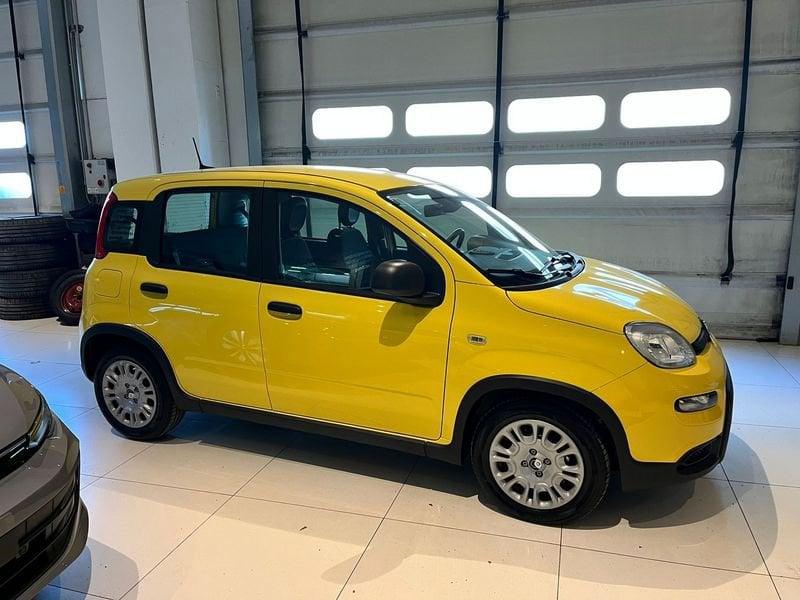 FIAT Panda 1.0 FireFly S&S Hybrid Pandina