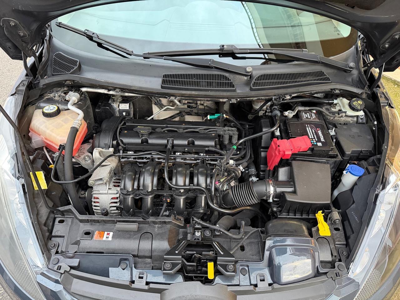 Ford Fiesta Fiesta+ 1.2 82CV 5 porte