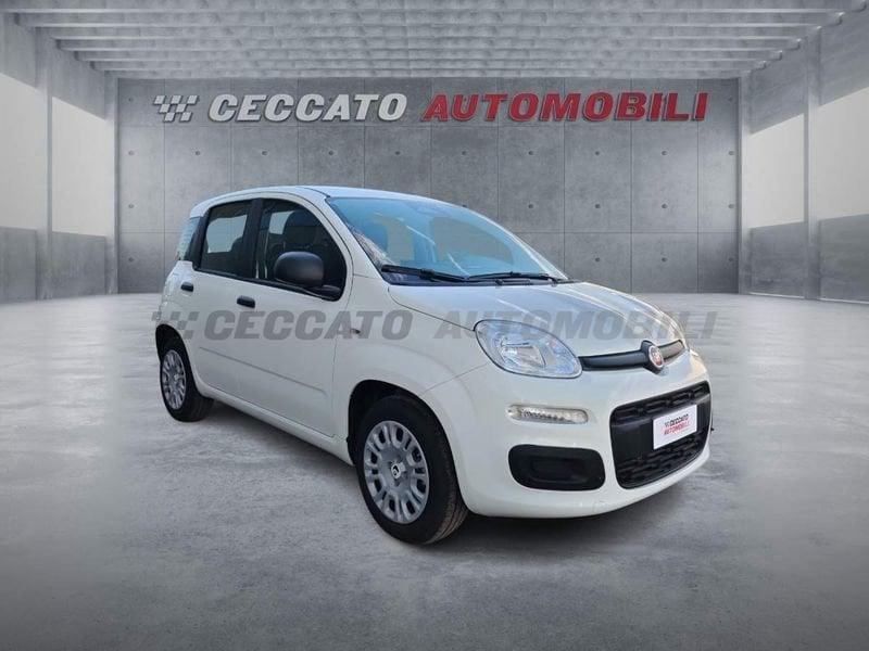 FIAT Panda Panda 1.0 70cv Hybrid Icon