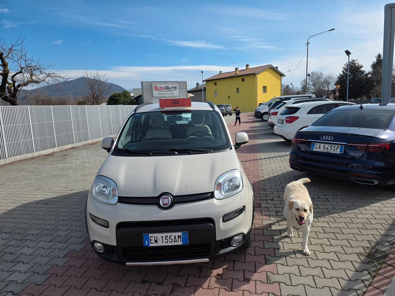 Fiat Panda 1.3 MJT S&S 4x4 perfetta e garantita 12 mesi