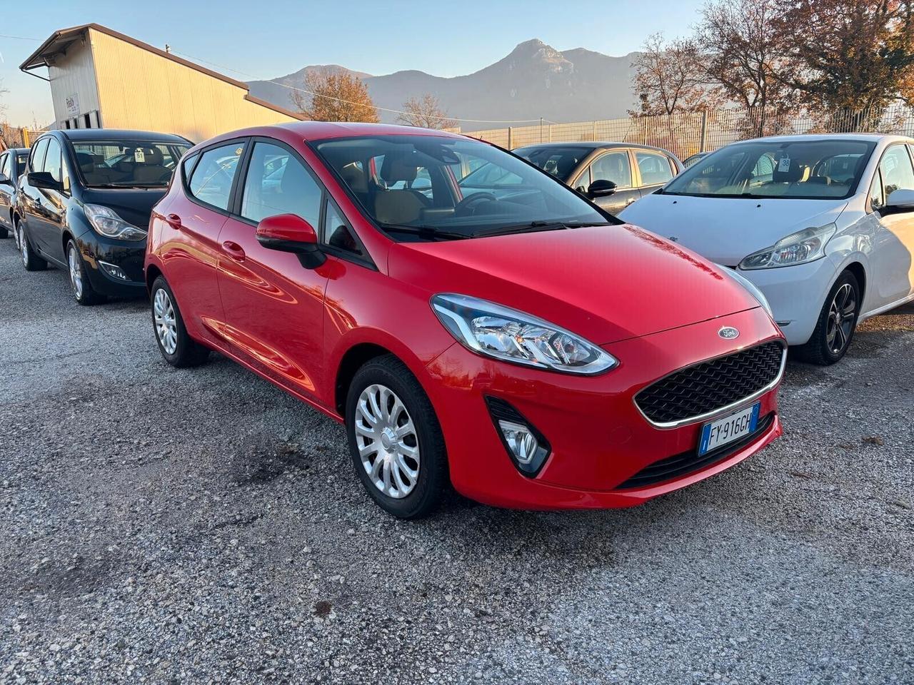 Ford Fiesta 1.1 75 CV GPL 5 porte - 2019