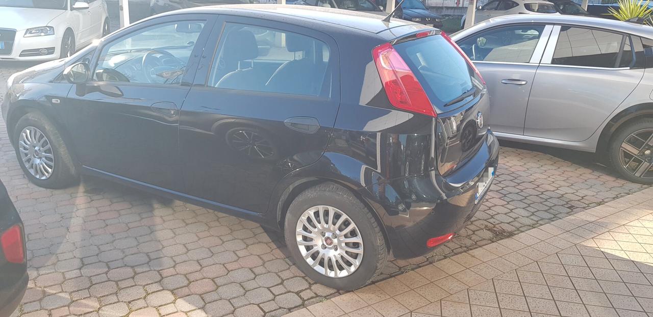 Fiat Punto 1.2 8V 5 porte Street OK NEO PATENTATI