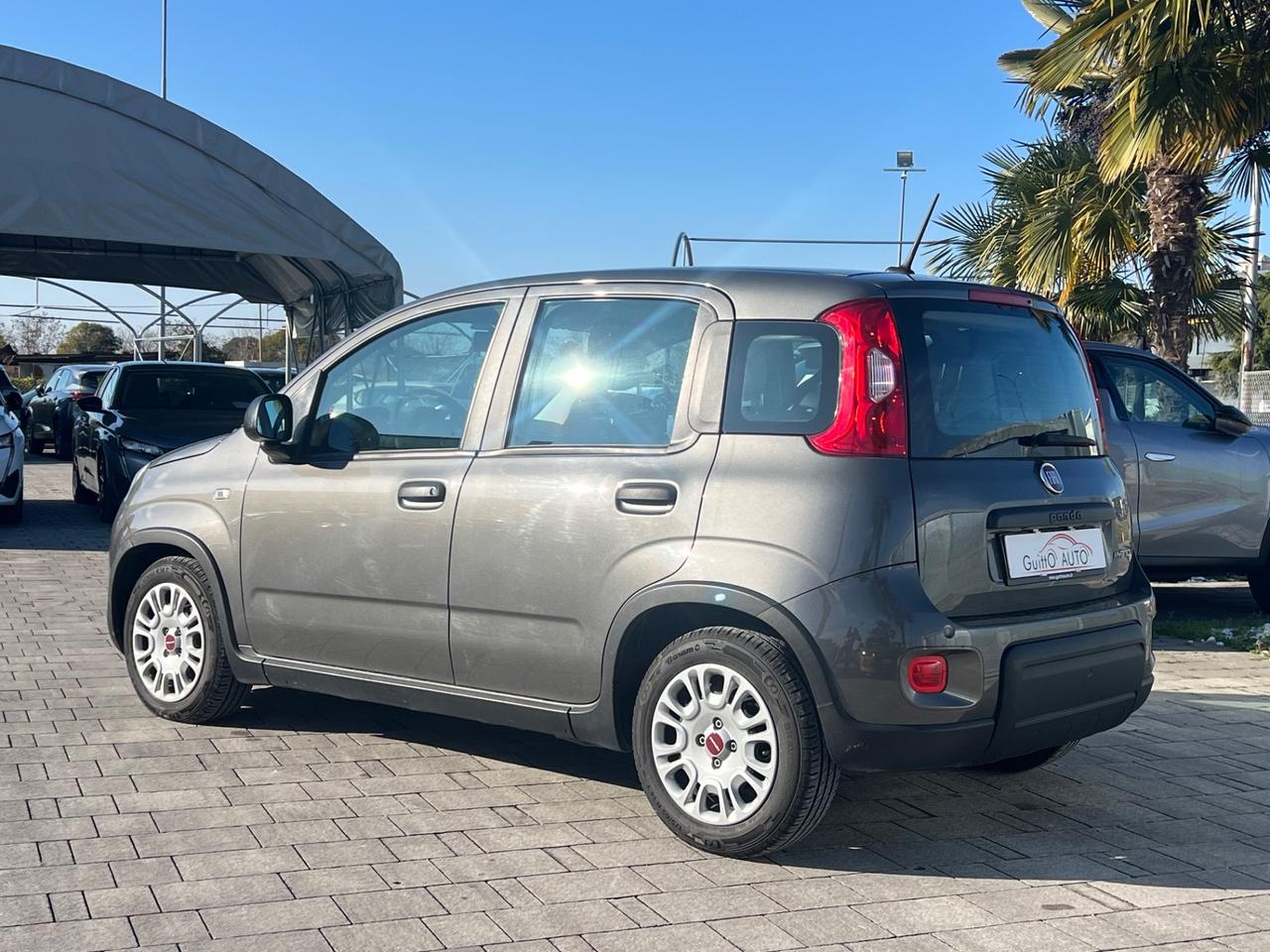 Fiat Panda 1.0 FireFly S&S Hybrid NEOPATENTATI