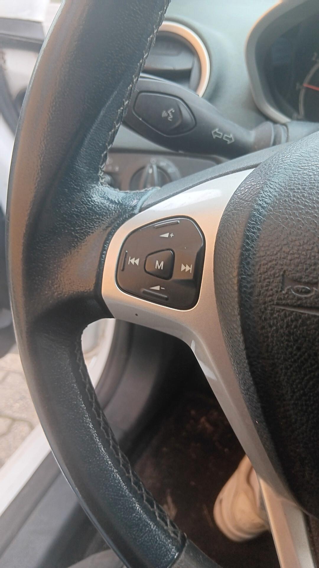 Ford Fiesta 1.2 82 CV 5 porte Titanium