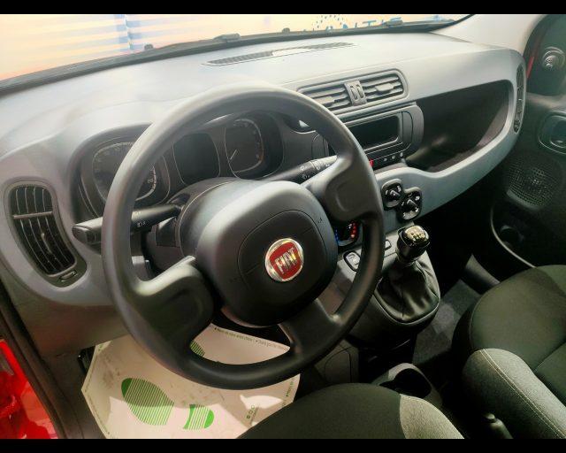 FIAT New Panda 1.0 firefly hybrid 70cv 5 posti