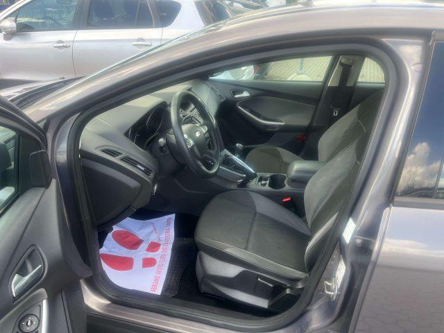 FORD Focus Focus 5p 1.6 tdci Titanium 115cv