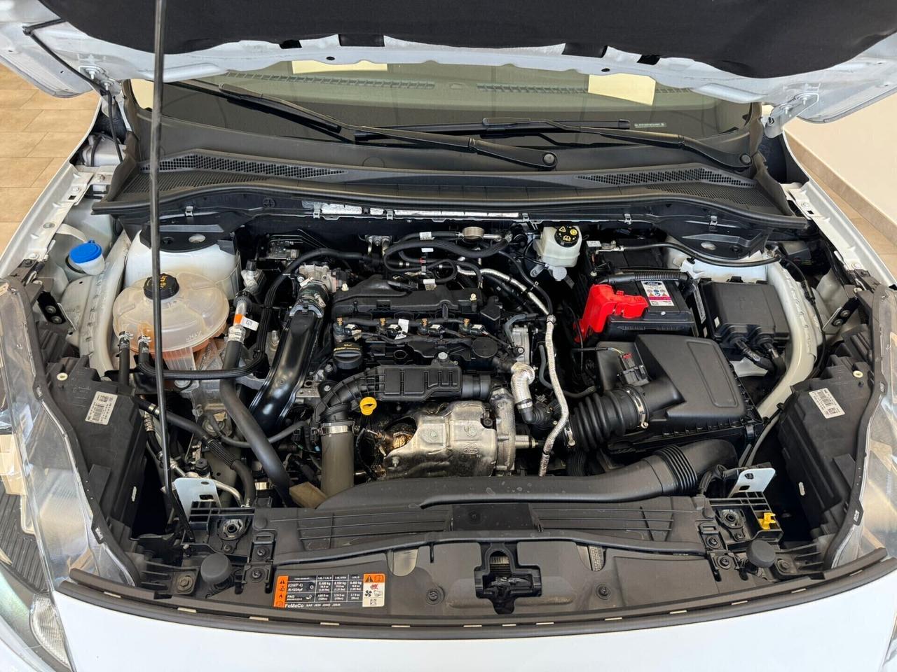 FORD KUGA 1.5 ECOBLUE 120 CV AUTO 2WD ST-LINE