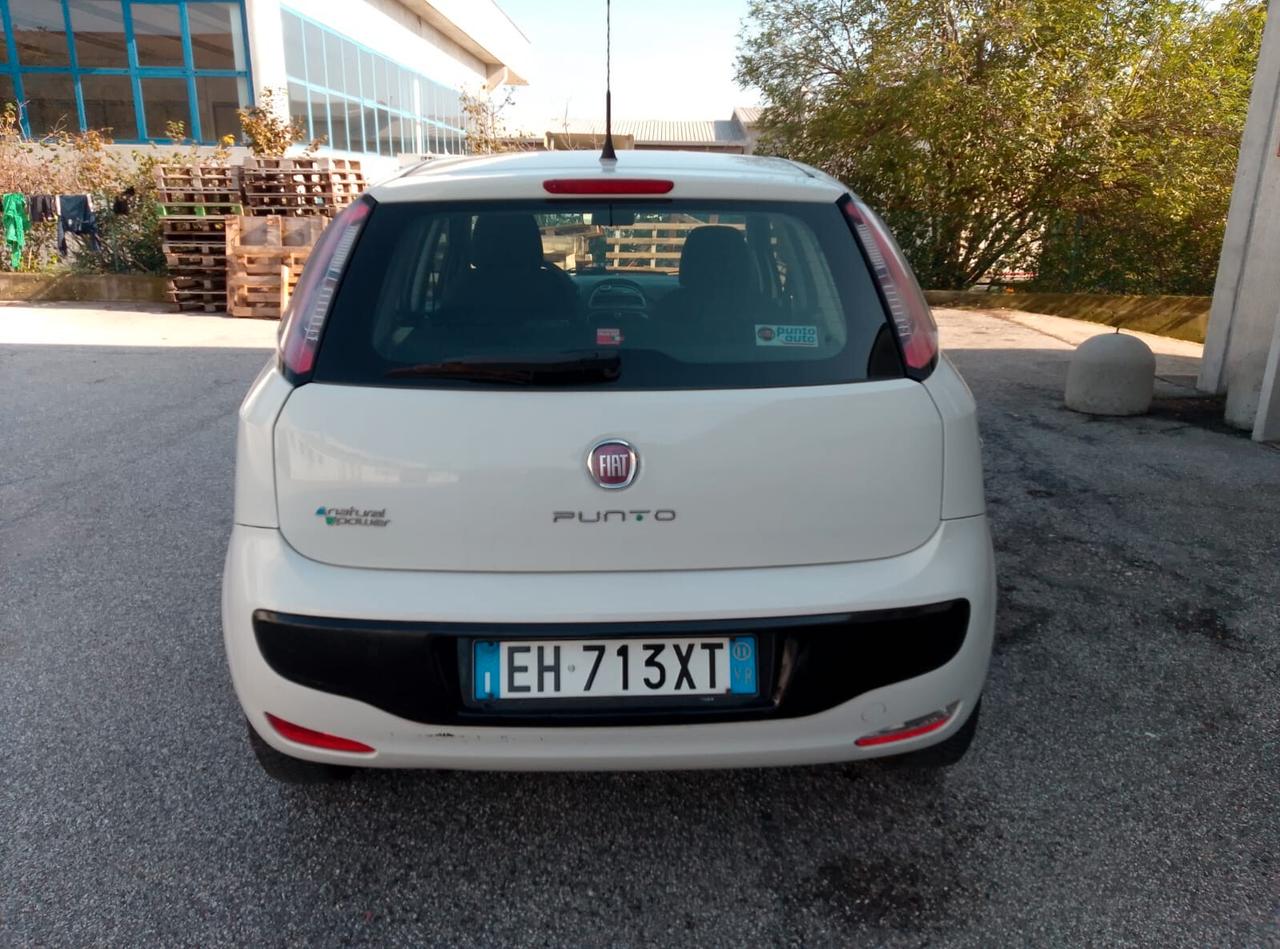 Fiat Punto Fiat Punto metano NEOPATENTATI OK