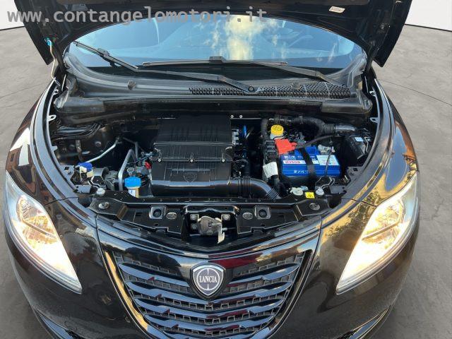 LANCIA Ypsilon 1.2 69 CV 5 porte Elefantino