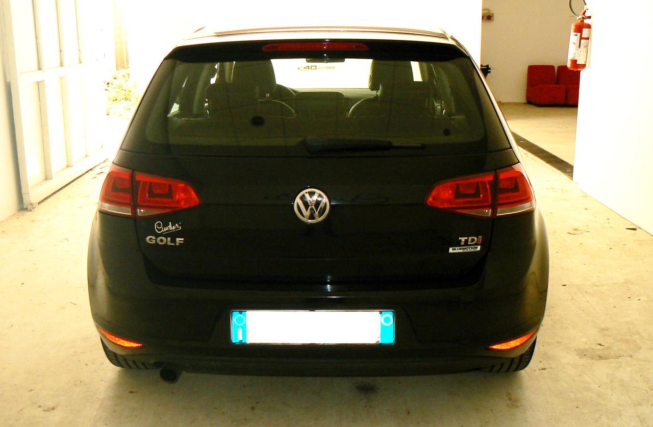 Volkswagen Golf Business 1.6 TDI 5p. - n 101084