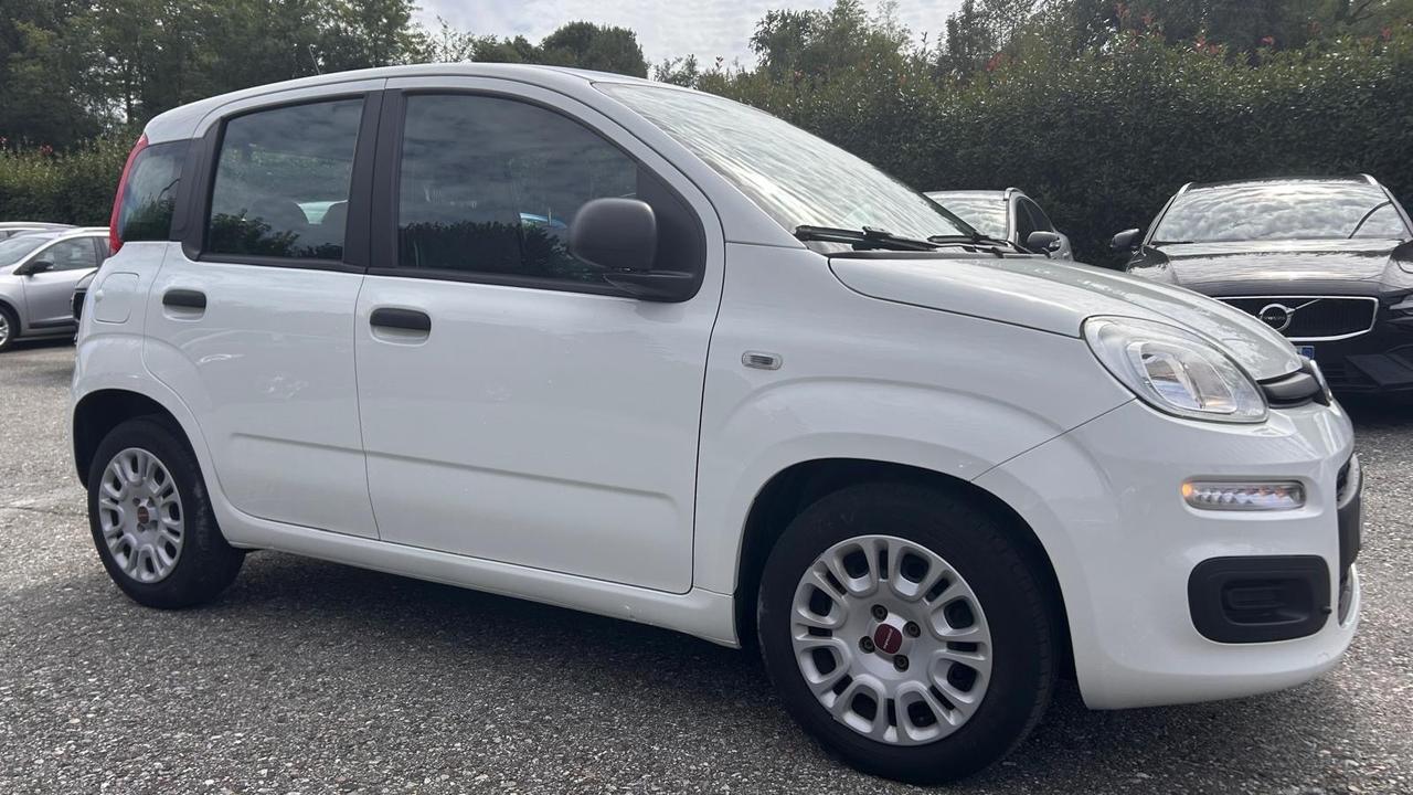 Fiat Panda 1.0 FireFly S&S Hybrid Easy