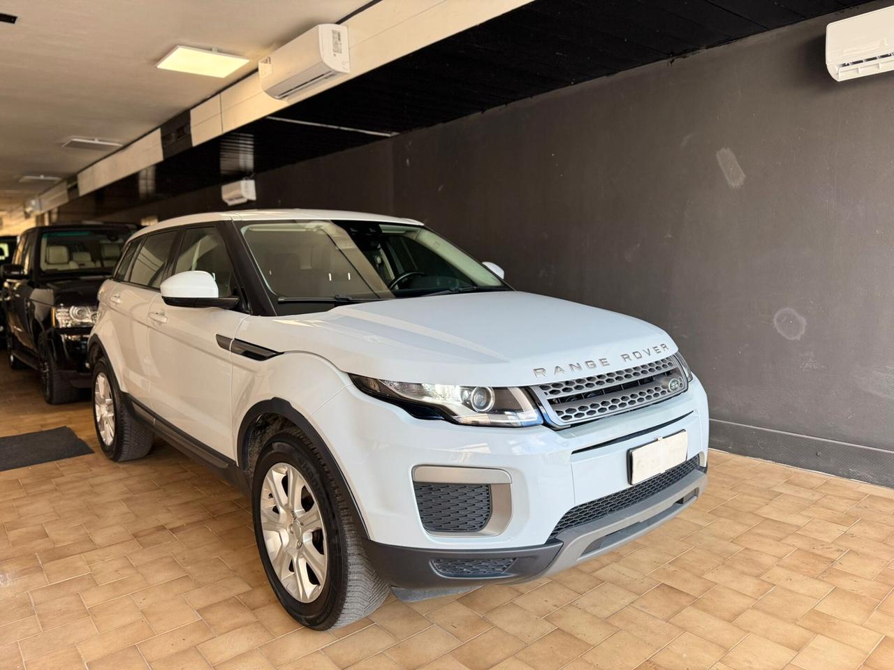 Land Rover Range Evoque 2.0 TD4 150 CV 5p. Business Edition Pure