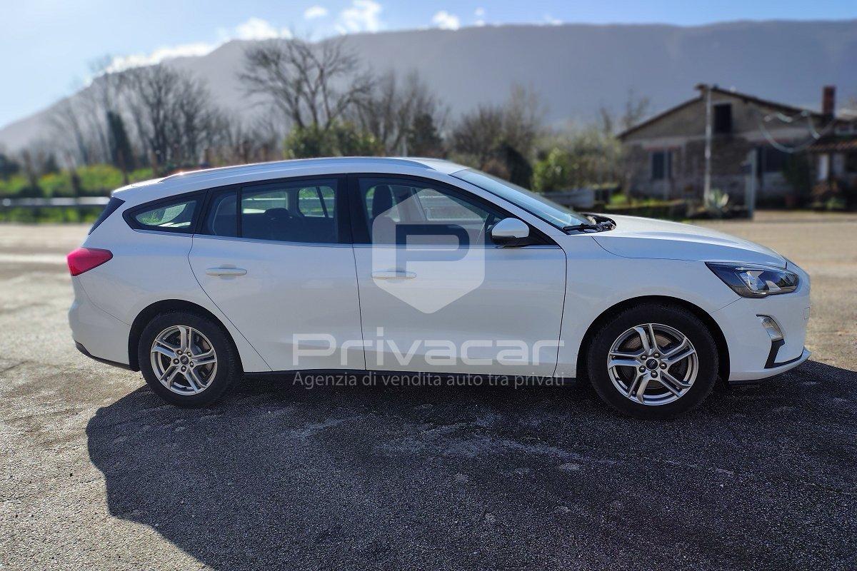 FORD Focus 1.5 EcoBlue 120 CV automatico SW Business