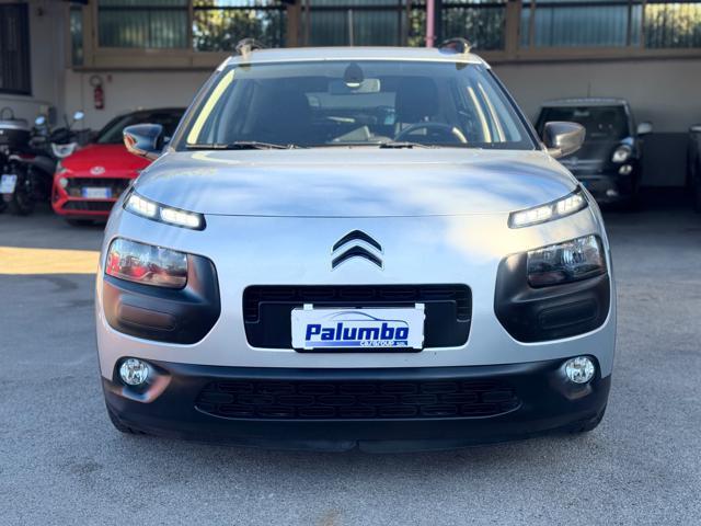 CITROEN C4 Cactus BlueHDi 100 S&S ETG6 Shine CAMBIO AUTOMATICO