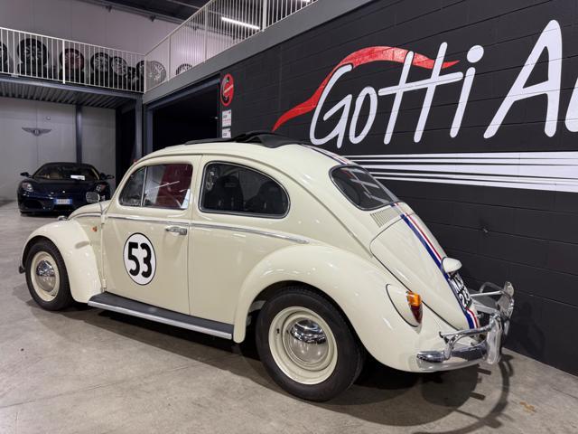 VOLKSWAGEN Maggiolino COMPLETAMENTE RESTAURATO