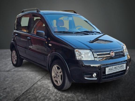 Fiat Panda 1.2 Climbing Natural Power