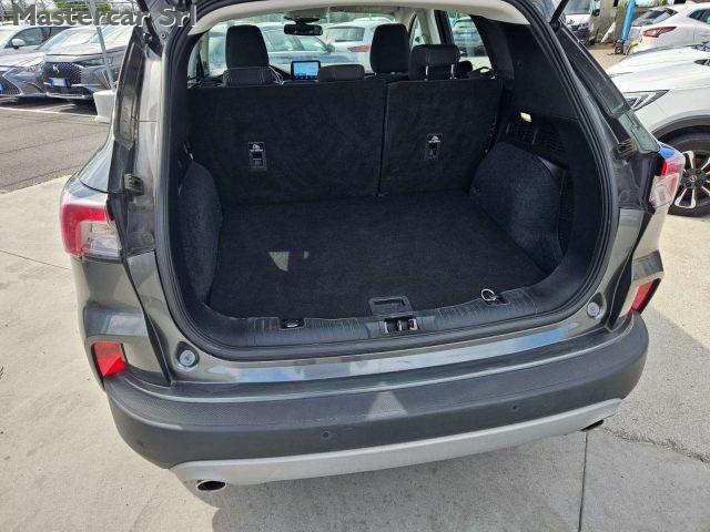 FORD Kuga 2.0 ecoblue mhev Titanium Bus 2wd 150cv - GG135WT