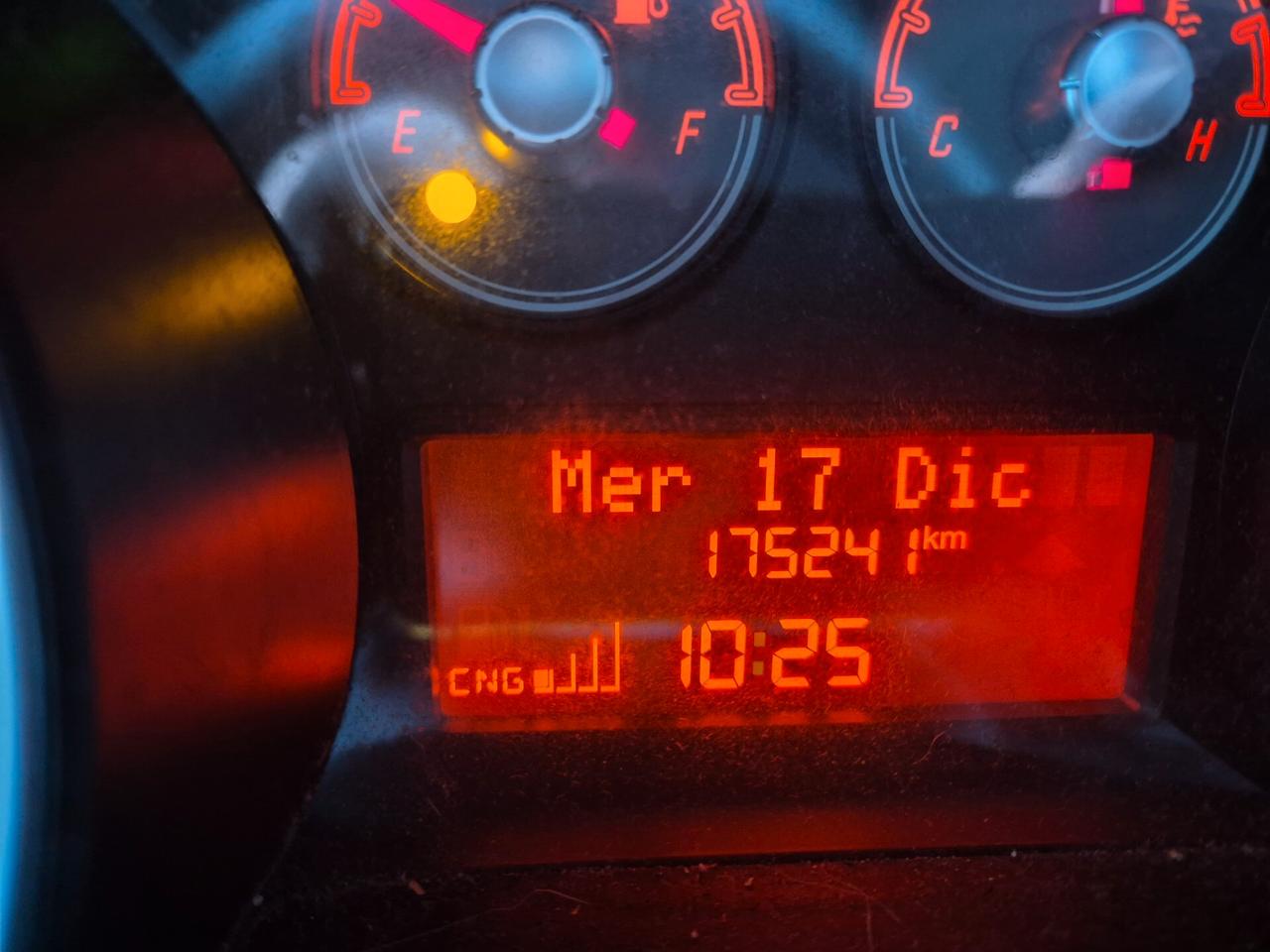 Fiat Punto Evo 1.4 5 porte Dynamic Natural Power