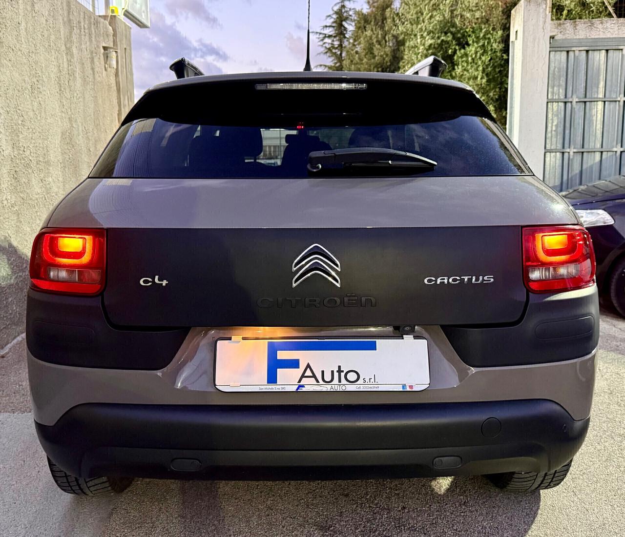 Citroen C4 Cactus BlueHDi 100 S&S ETG6 Shine,Navi,retrocamate,ecc.