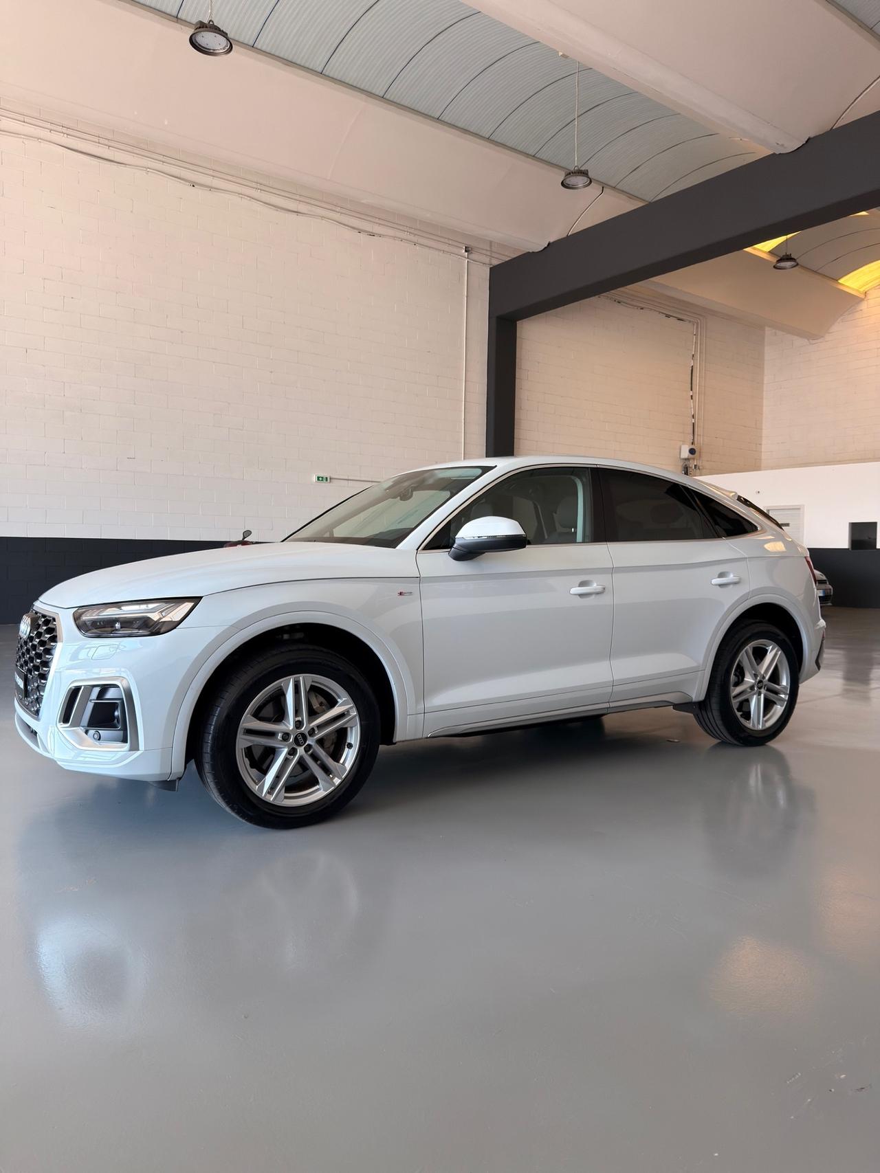 Audi Q5 SPB 40 TDI quattro S tronic line plus