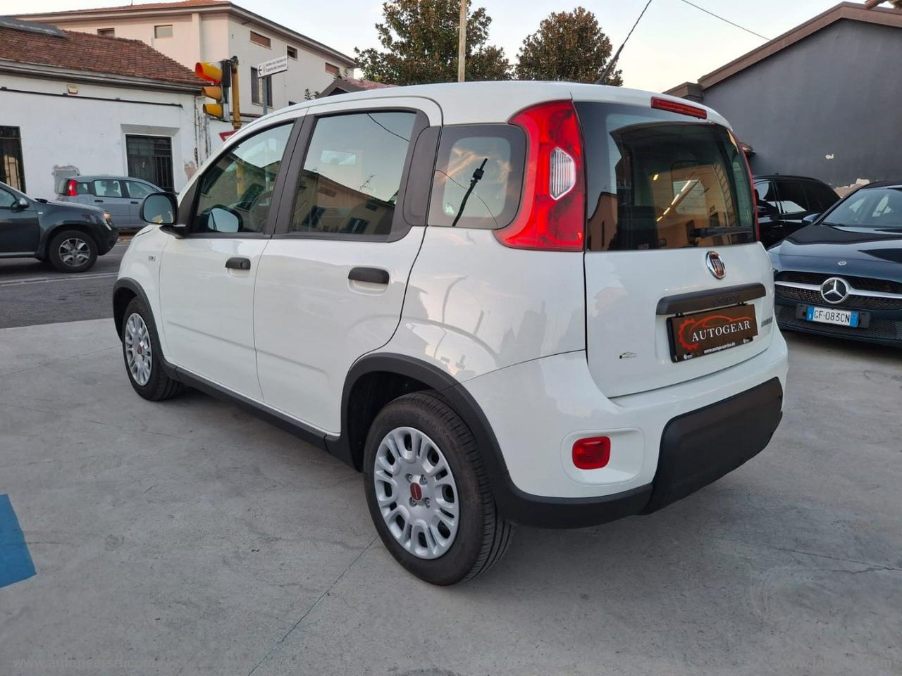 FIAT Panda 1.0 FireFly S&S Hybrid AUTO DA IMMATRICOLARE IN ITALIA PROVENIENZA GERMANIA