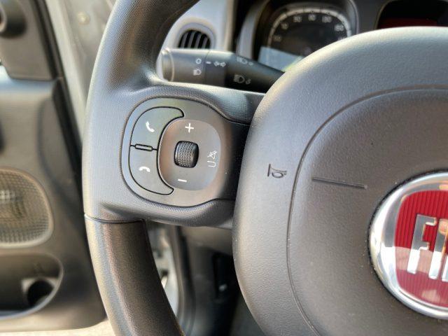 FIAT Panda 1.0 FIREFLY HYBRID 70CV CITY LIFE BLUETOOH