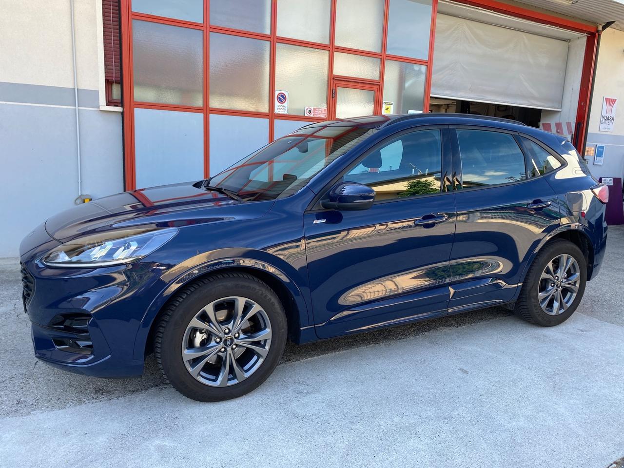Ford Kuga 2.0 EcoBlue 120 CV aut. 2WD ST-Line - KM 27.000