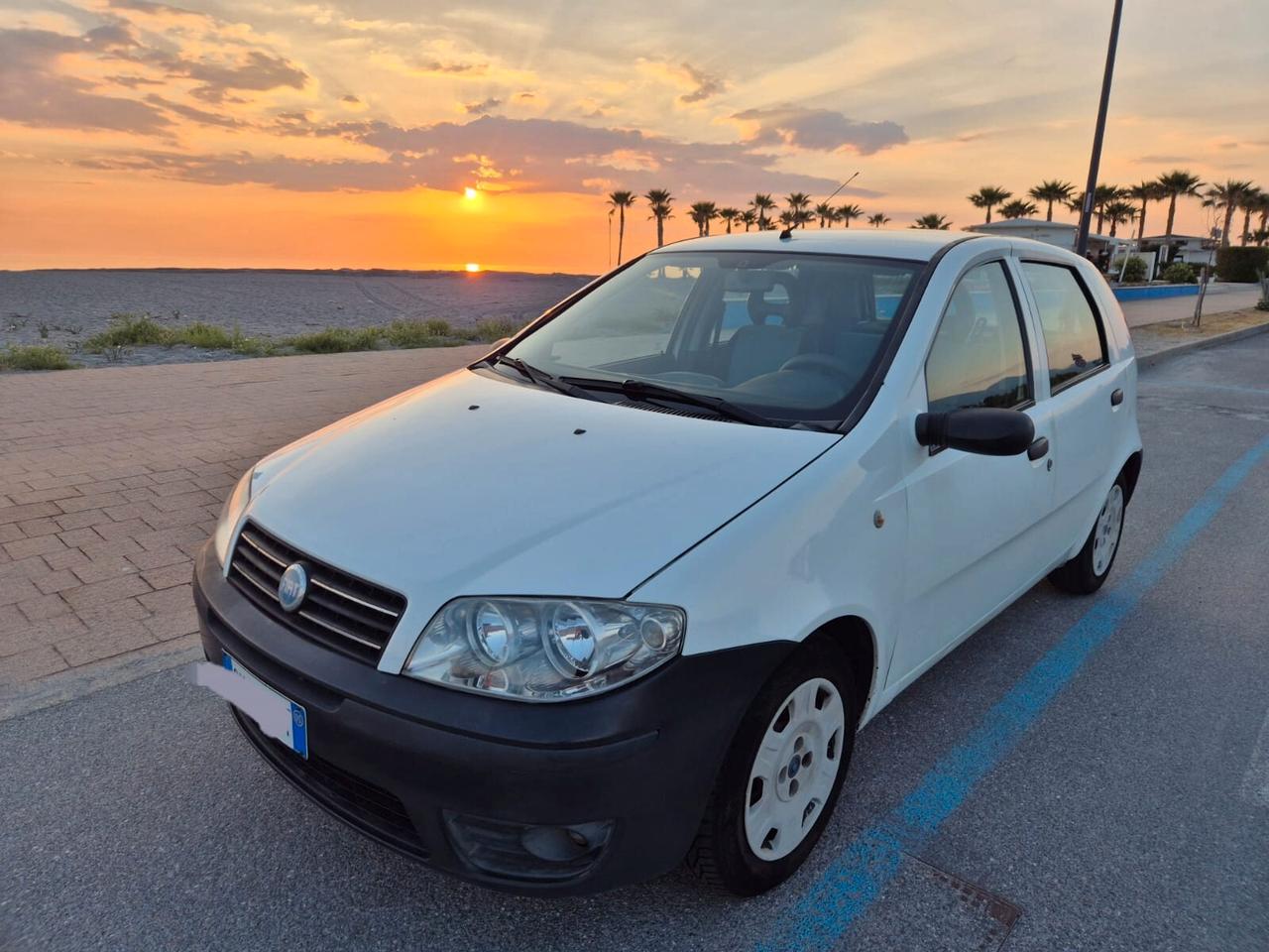 Fiat Punto 1.3 Multijet 16V 5 porte Active