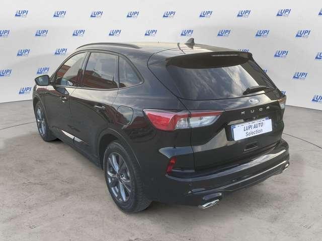 Ford Kuga 2.0 ecoblue ST-Line X 2wd 120cv auto