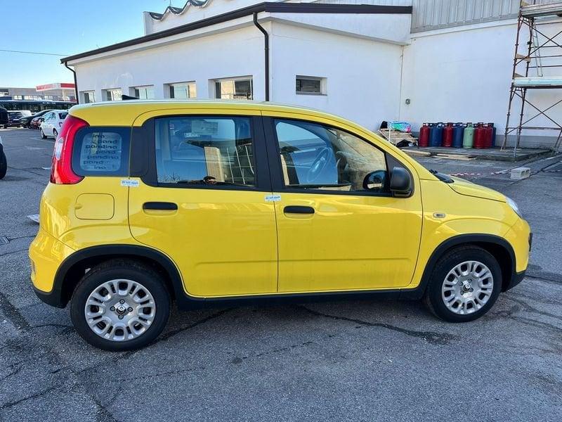 FIAT Panda 1.0 FireFly S&S Hybrid Pandina