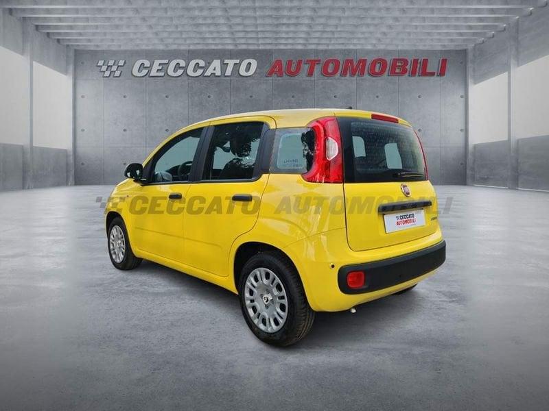 FIAT Panda Panda 1.0 70cv Hybrid Icon