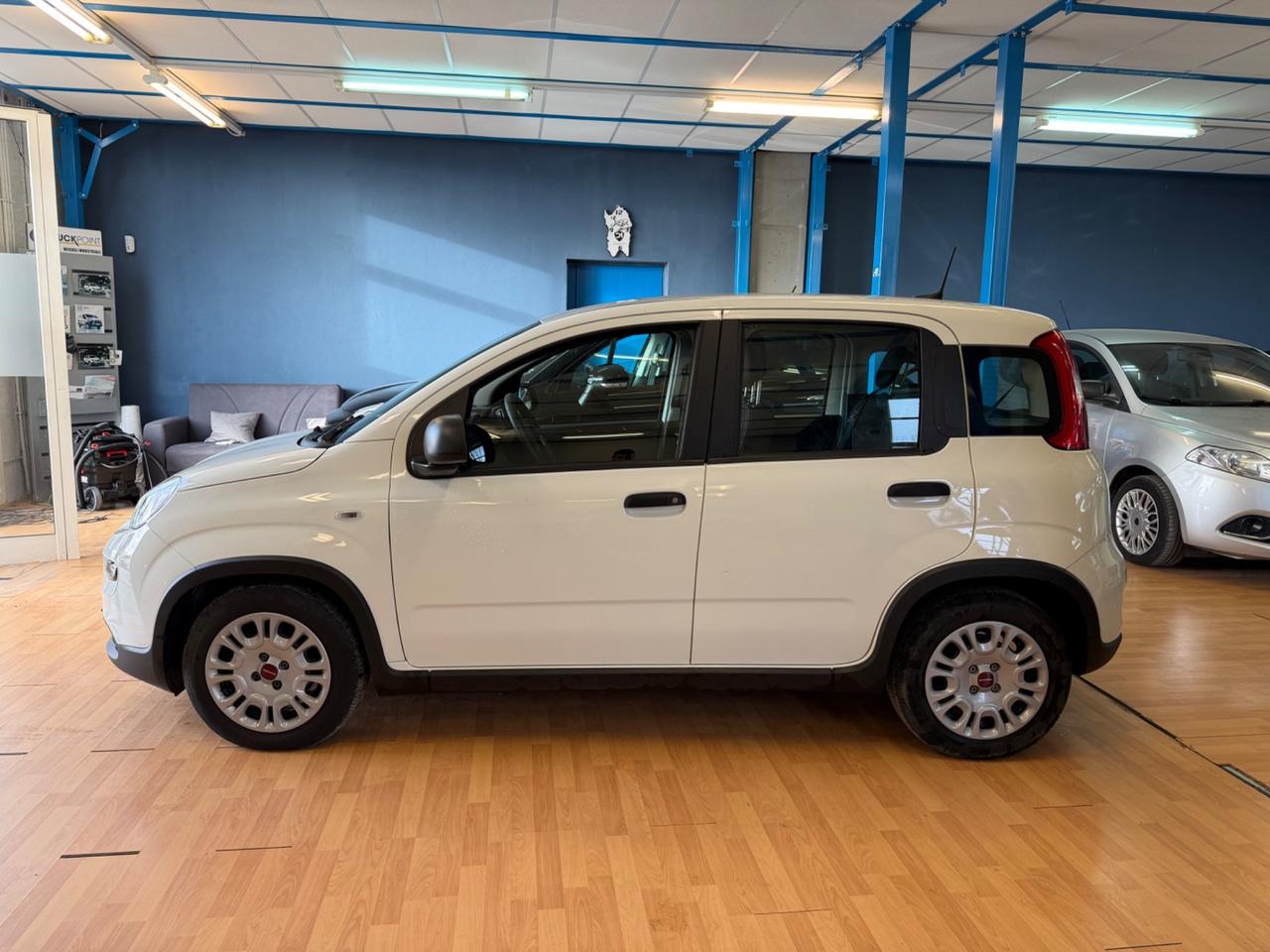 Fiat Panda 1.0 benzina 2024 NUOVA FULL OPTIONAL