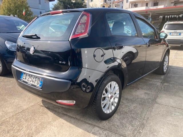 Fiat Punto Evo Punto Evo 1.4 5 porte Active GPL