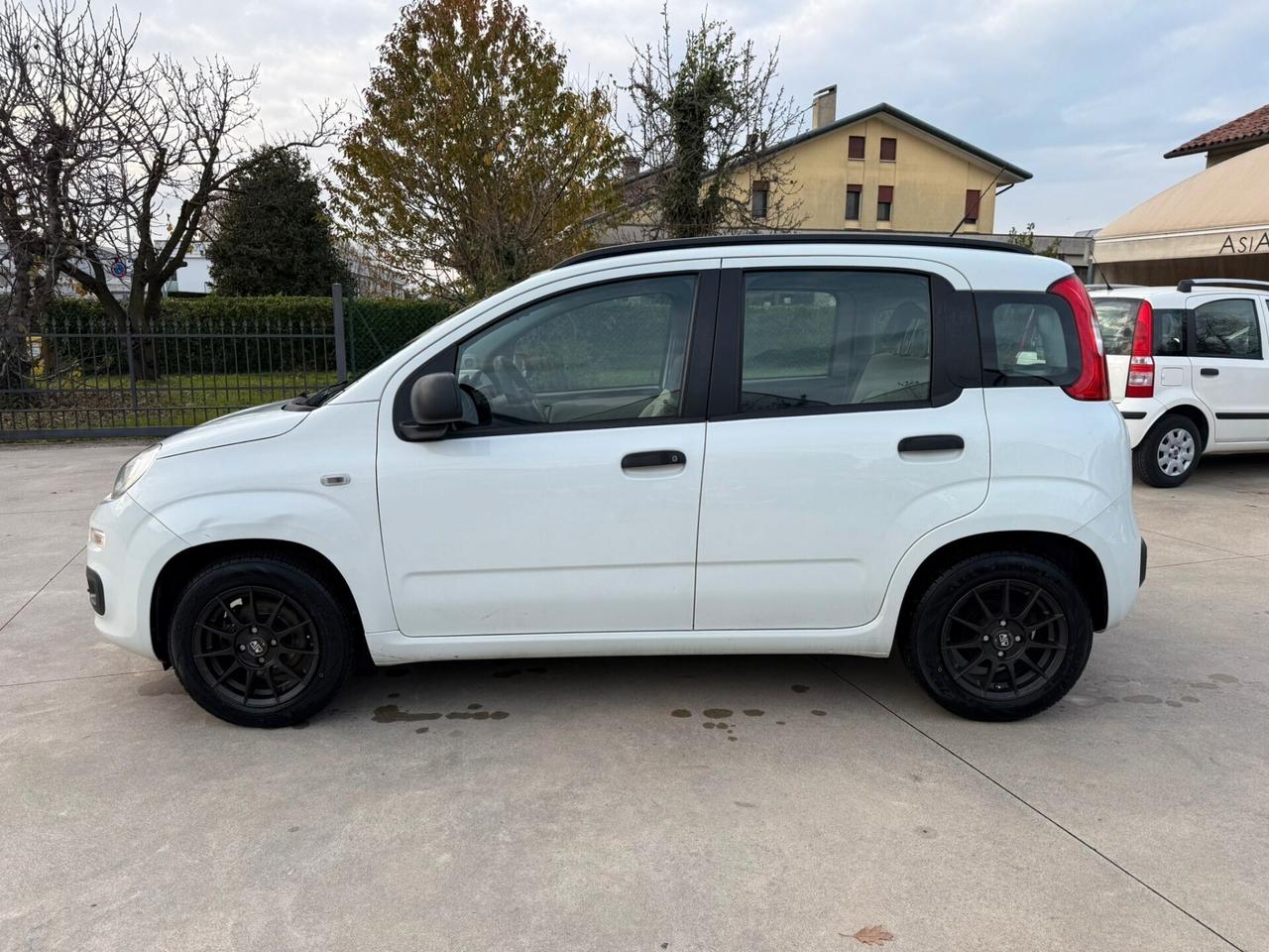 Fiat Panda 1.2 Easy NON PERFETTA DI CARROZZERIA