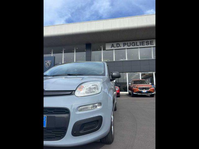 FIAT Panda 3ª serie - 1.0 FireFly S&S Hybrid
