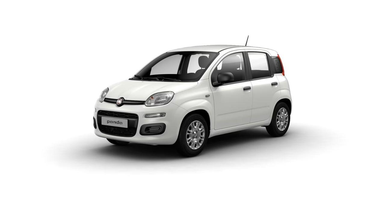 FIAT Pandina Pandina 1.0 FireFly 65 CV Hybrid Icon