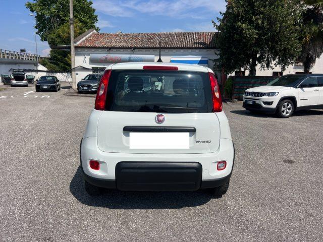 FIAT Panda 1.0 FireFly S&S Hybrid 70CV UNICO PROPRIETARIO