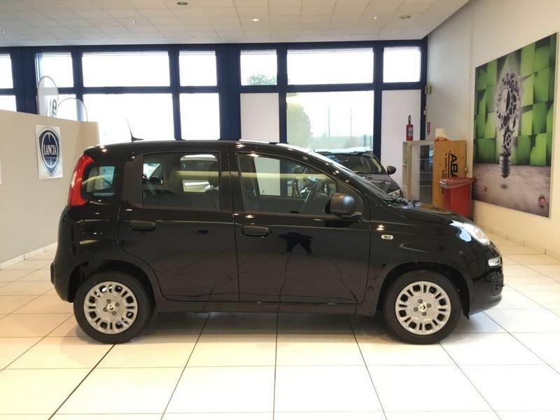 FIAT Panda Panda 1.0 FireFly S&S Hybrid Pop 65cv