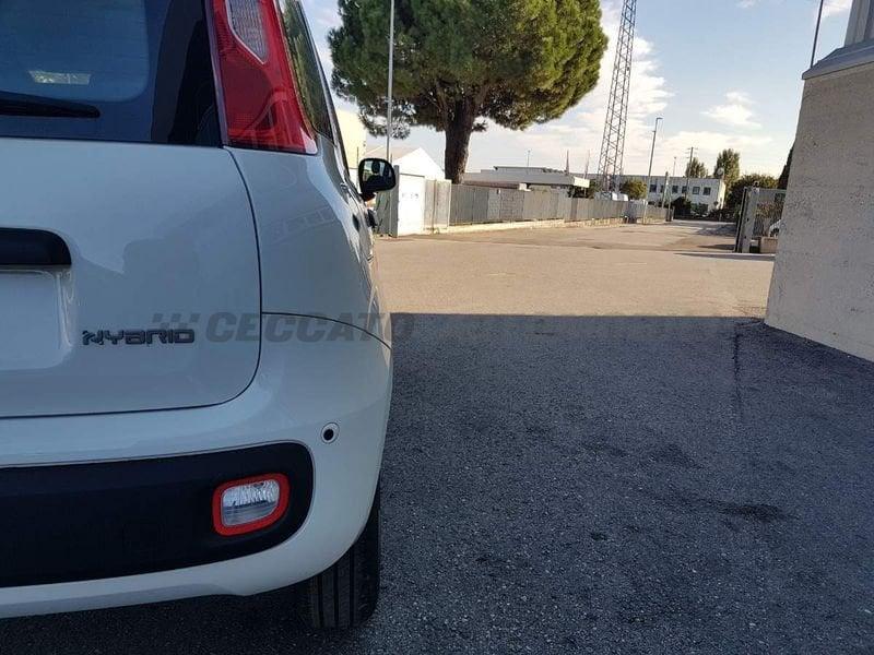 FIAT Panda Panda 1.0 70cv Hybrid Icon