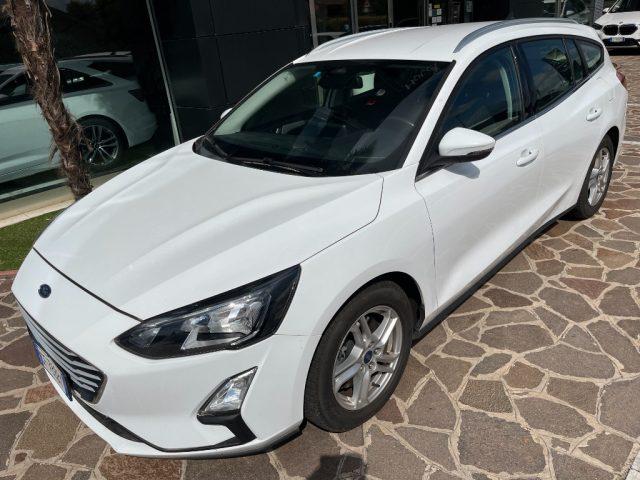 FORD Focus SW 1.5 EcoBlue 120cv Automatica Business Co-Pilot